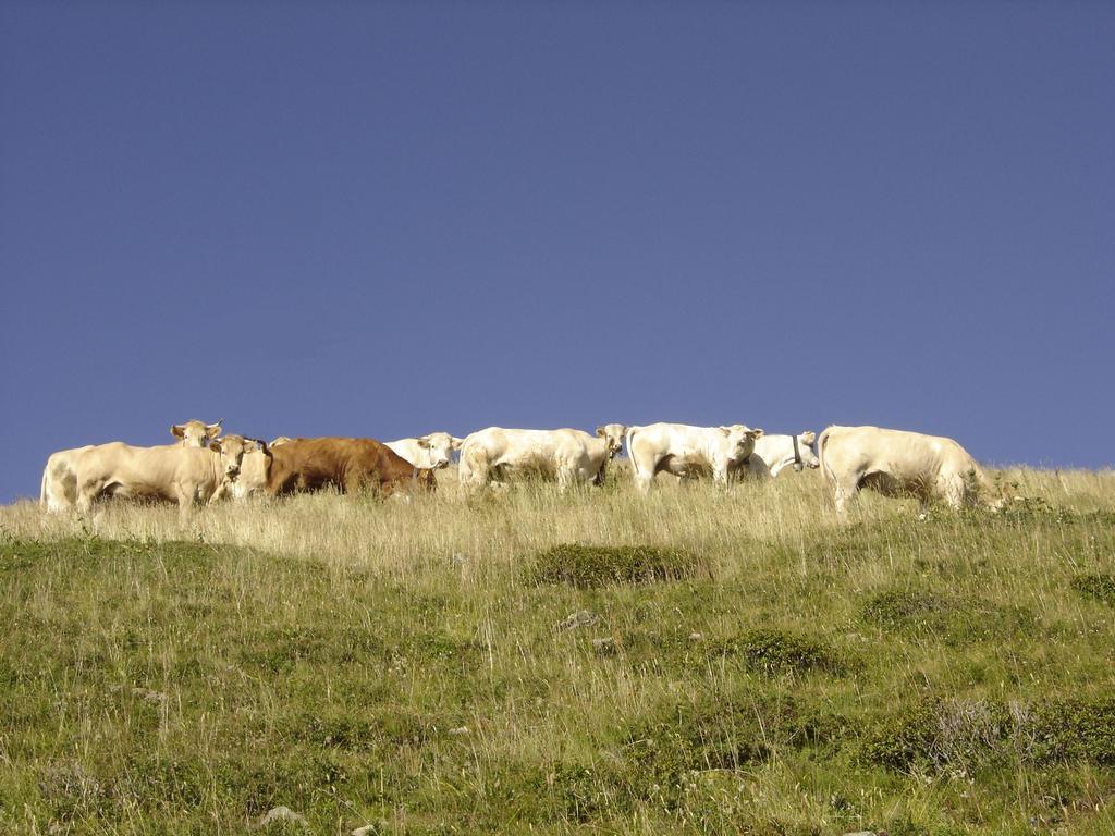 Gite Le Cerf De Belledonne Sainte-Agnès Zewnętrze zdjęcie