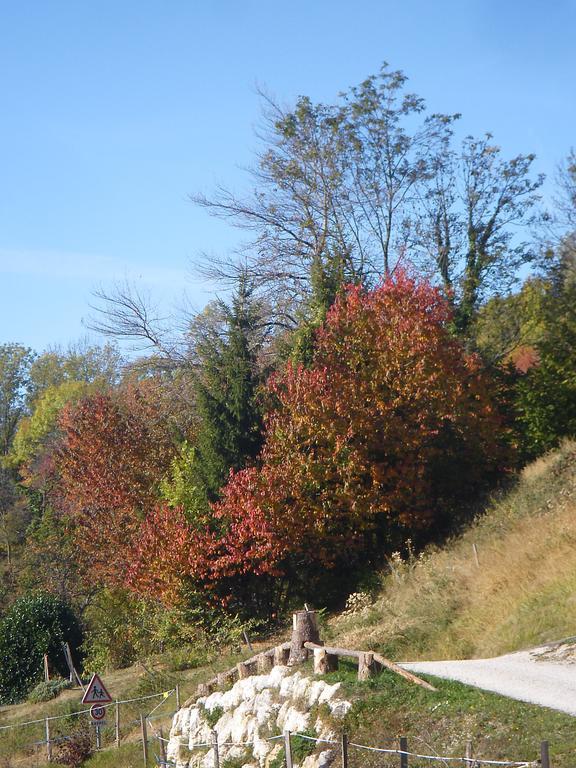Gite Le Cerf De Belledonne Sainte-Agnès Zewnętrze zdjęcie