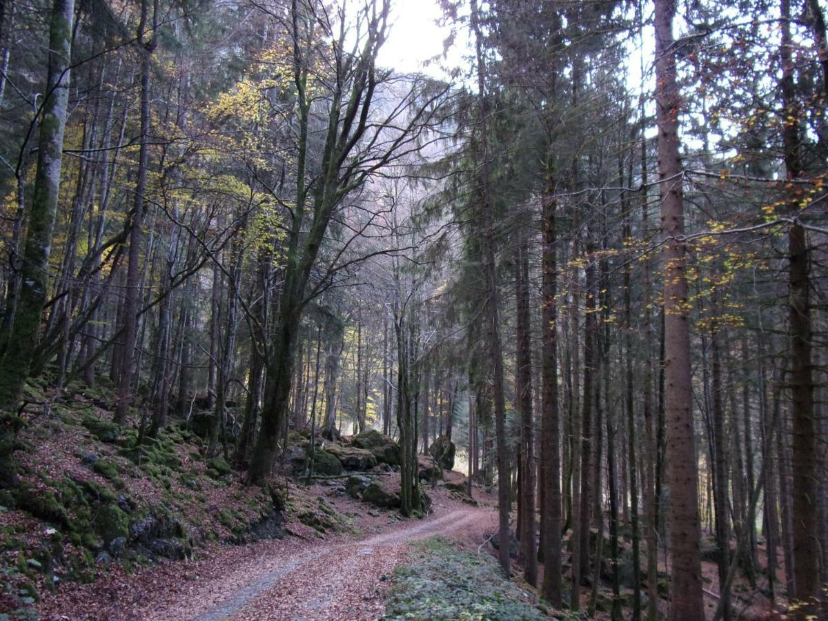 Gite Le Cerf De Belledonne Sainte-Agnès Zewnętrze zdjęcie